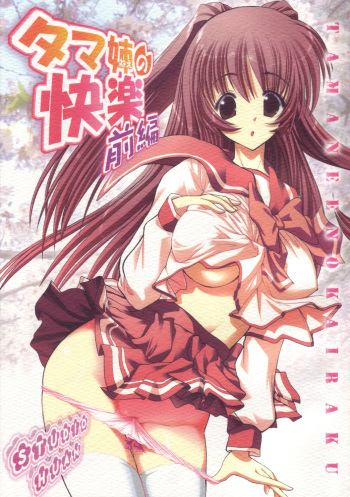 Tama-nee no Kairaku Zenpen cover