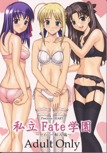 Shiritsu Fate Gakuen ~Saber Tennyuuhen~ cover