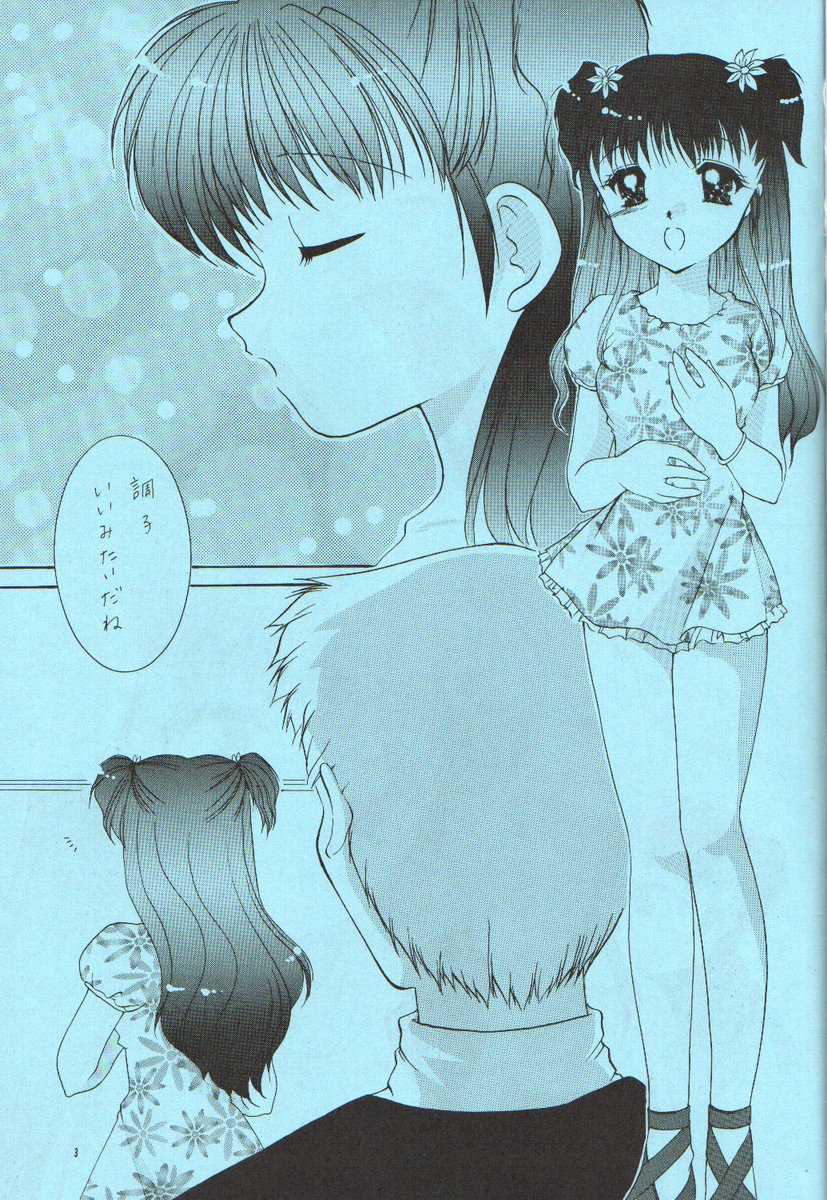 ESTIMA page 2 full