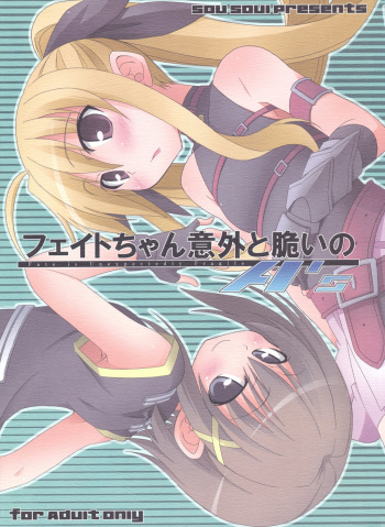 Fate-chan Igai to Moroi no A's cover
