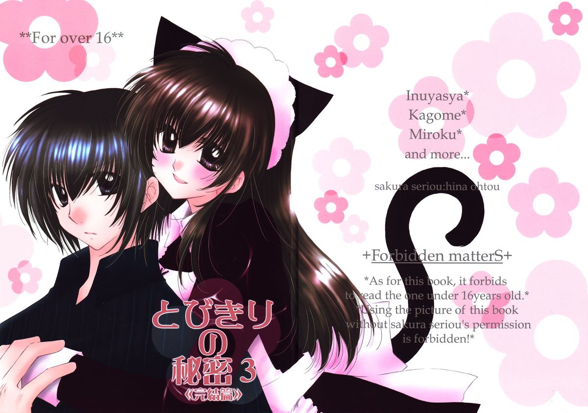 Tobikiri no Himitsu 3 <<Kanketsuhen>> page 2 full