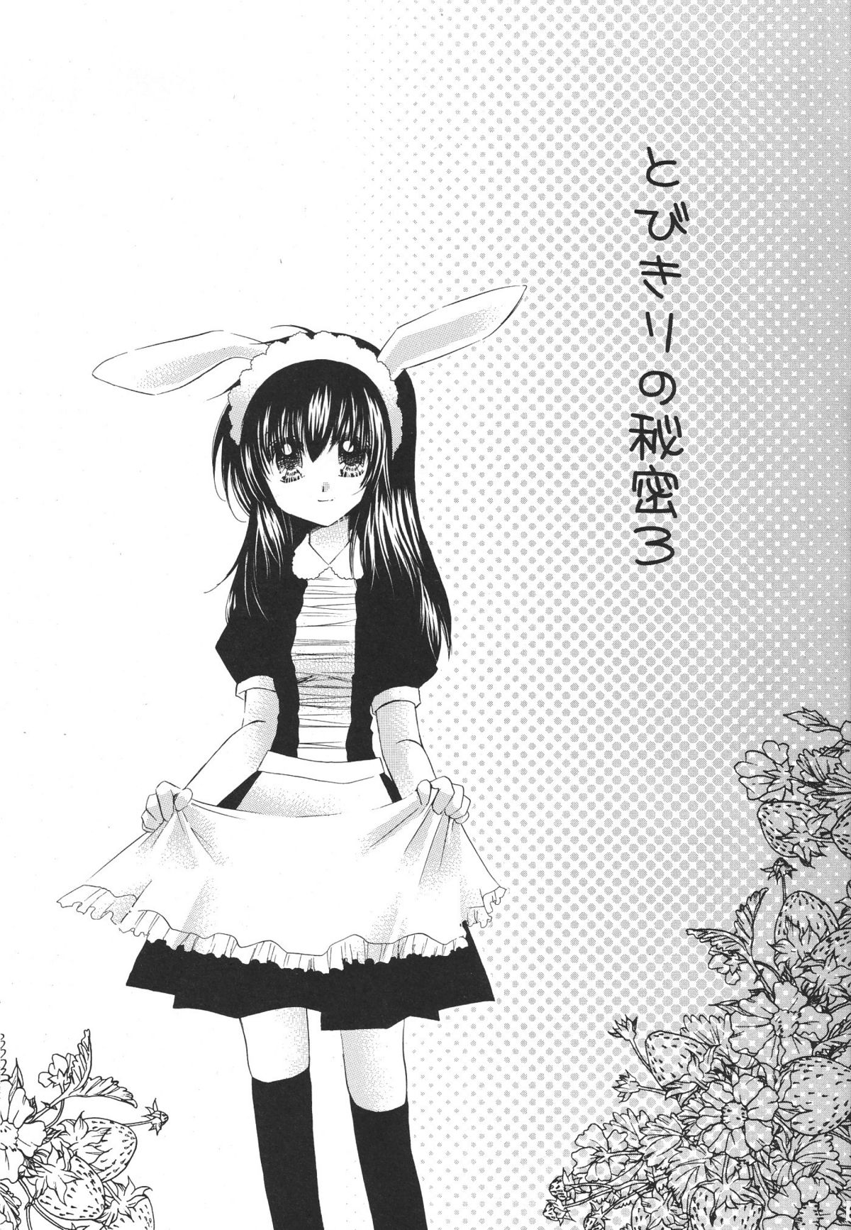 Tobikiri no Himitsu 3 <<Kanketsuhen>> page 3 full