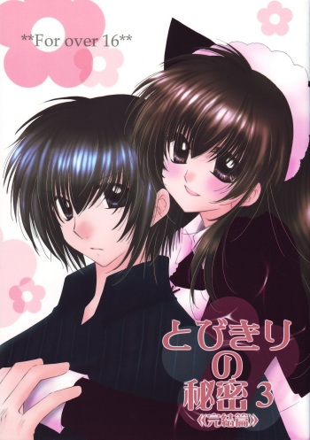Tobikiri no Himitsu 3 <<Kanketsuhen>> cover