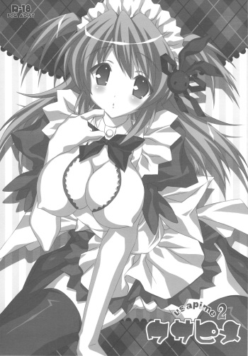 Usapime 2 cover
