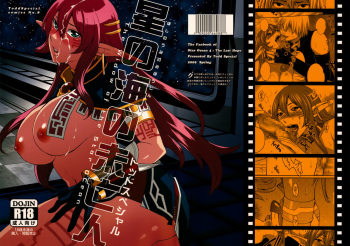 Hoshi no Umi no Miboujin - The Widow of The Star Ocean cover