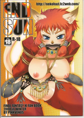 END SUN cover