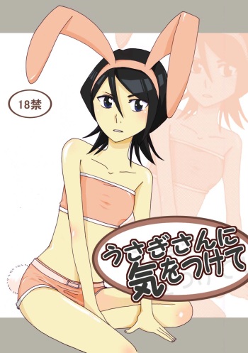 Paying Attention to the Rabbit cover