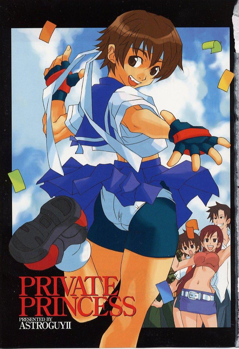 Private Princess page 3 full