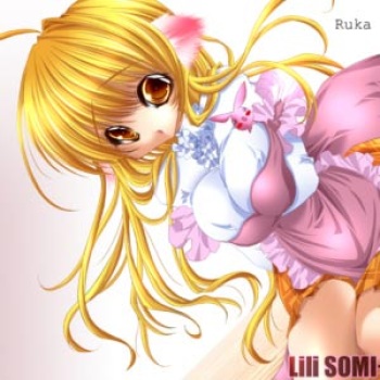 Artist Collection - Micom cover
