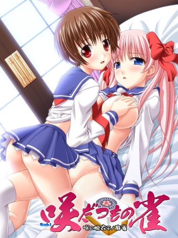Hentai Collection Package 48 cover