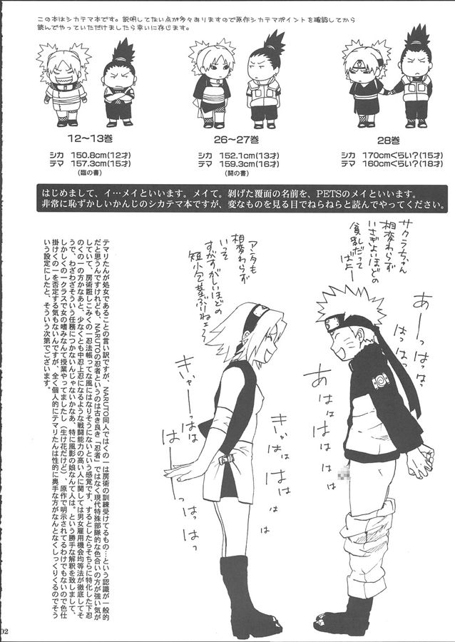 +3 page 4 full