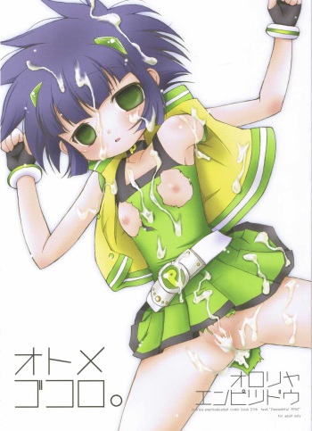Otome Gokoro cover