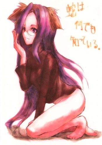 Hebi wa Nandemo Shitteiru. cover