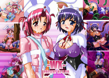 WX cover