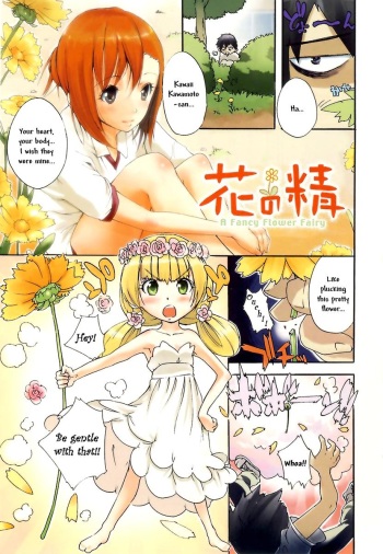 Hana no Sei - a Fancy Flower Fairy cover