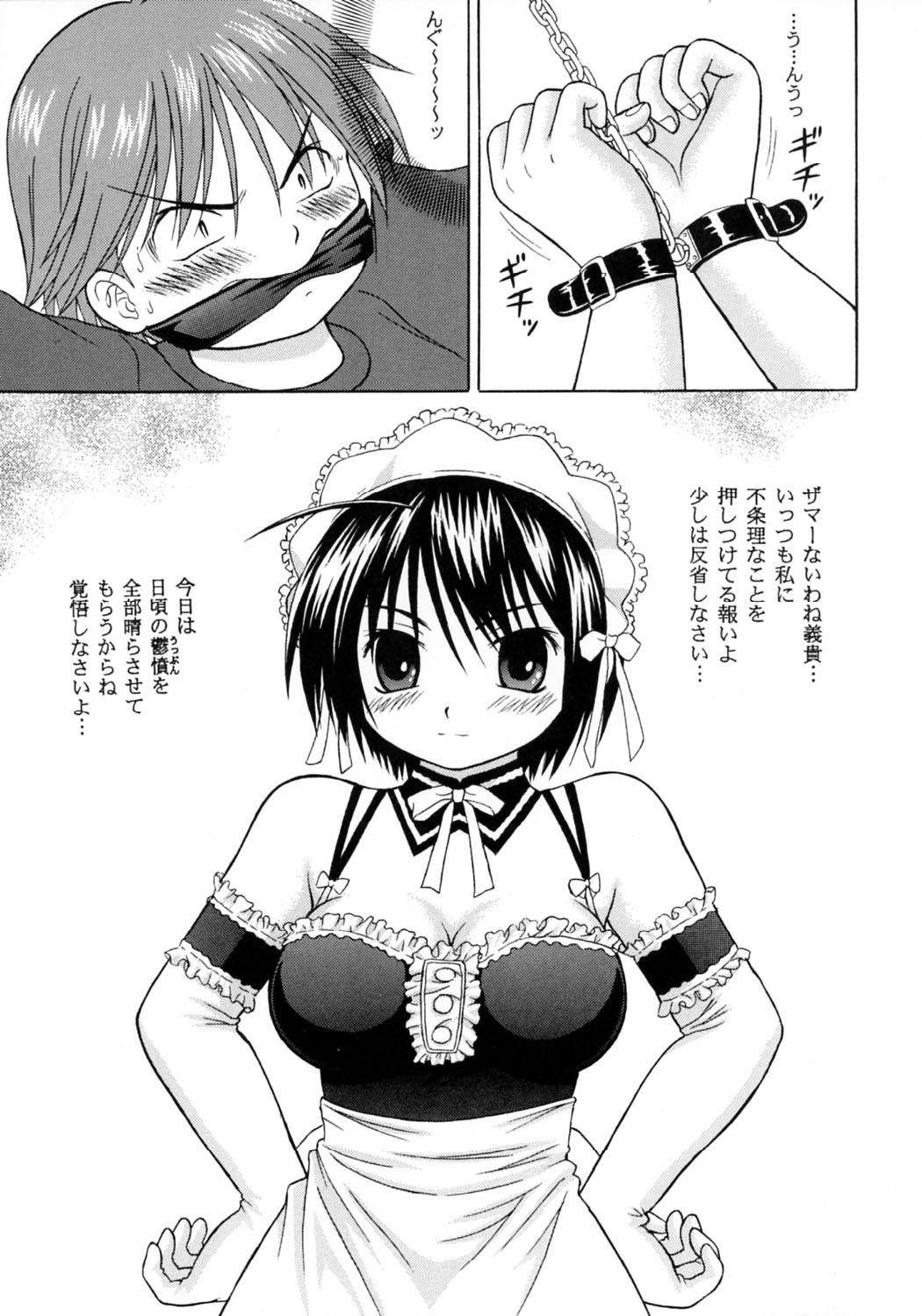 Kore demo Watashi no Goshujin-sama Volume:0 | Another Story of Gosyujinsama Volume 0 page 5 full