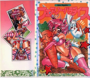 Fairy Paradise cover