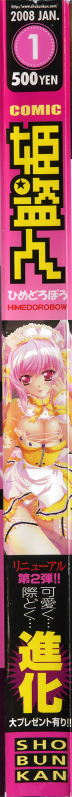 Comic Hime Dorobou 2008-01 page 2 full