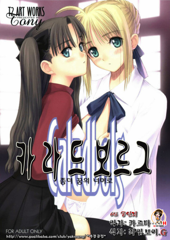 Caladbolg Motto Yume no Tsuzuki | 카라드보르그 좀더 꿈의 너머로 cover