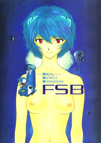 FSB cover