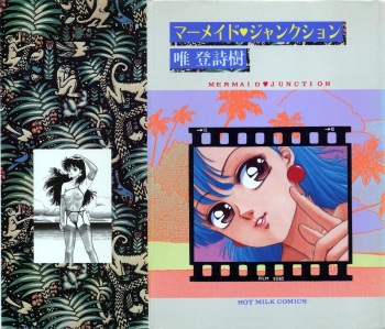 Mermaid Junction cover