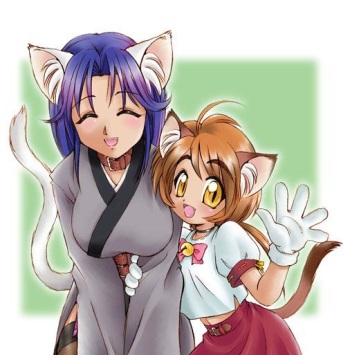 Random Catgirls 5 cover
