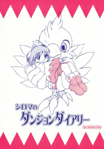 Shirma No Dungeon Diary cover