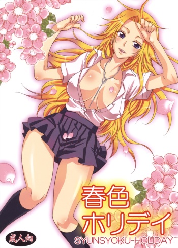 Shunshoku Holiday cover