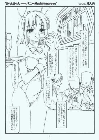 Kyankyan Iwasareru Bunny Mushiritorare-ru cover