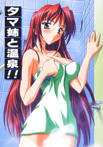 Tama-nee to Onsen!! cover