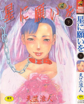 Hoshi ni Negai o Ge cover