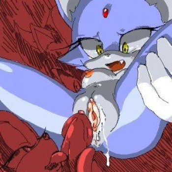 Blaze The Cat cover