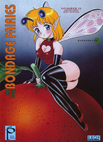 The New Bondage Fairies Issue 12 cover