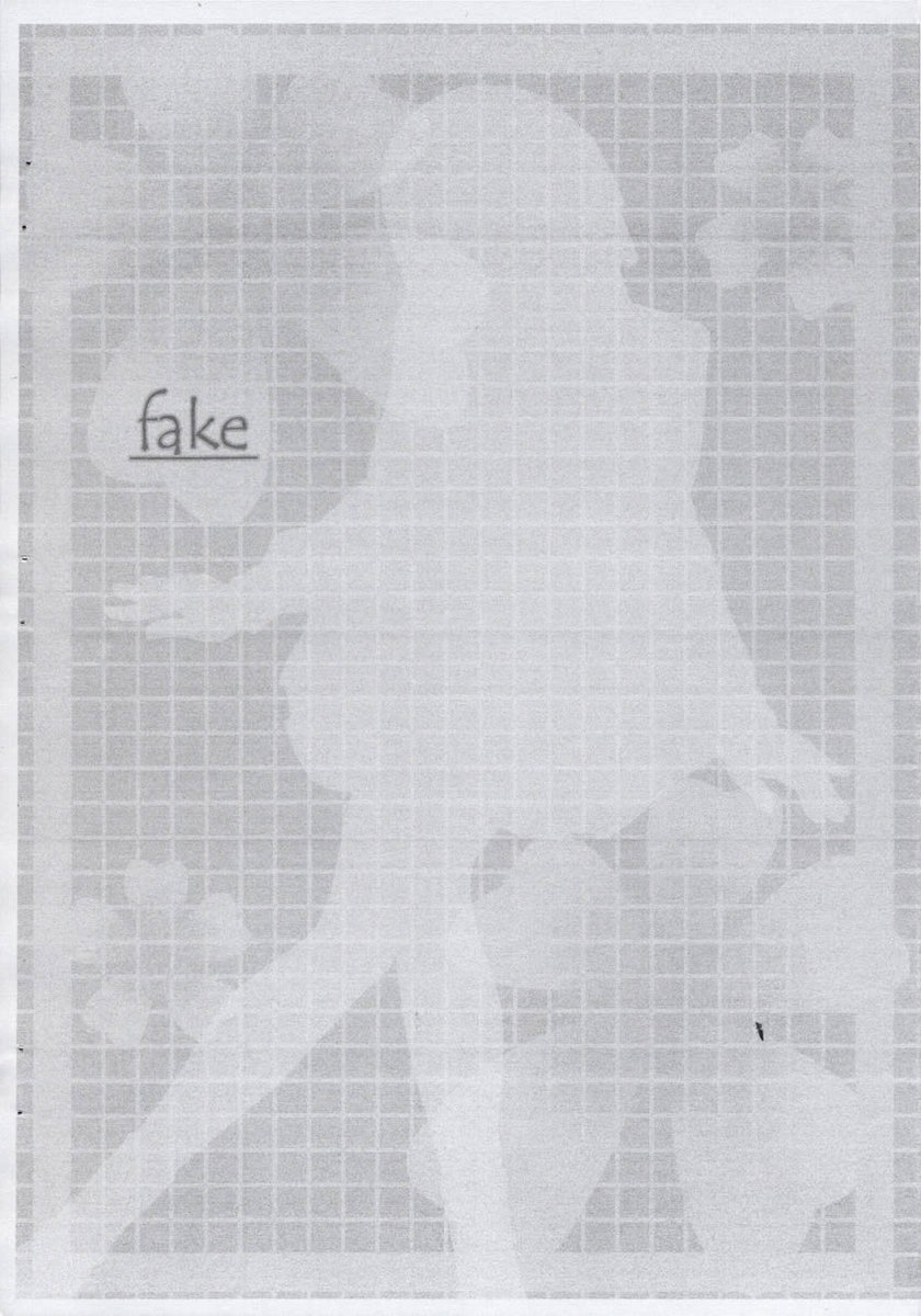 fake page 3 full
