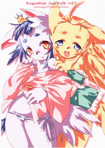 Dragonheads Snaketails vol.07 cover