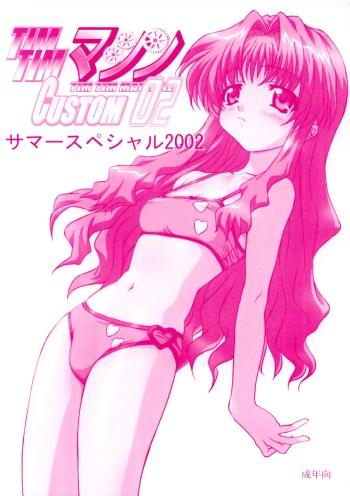 TIMTIM CUSTOM 02 cover