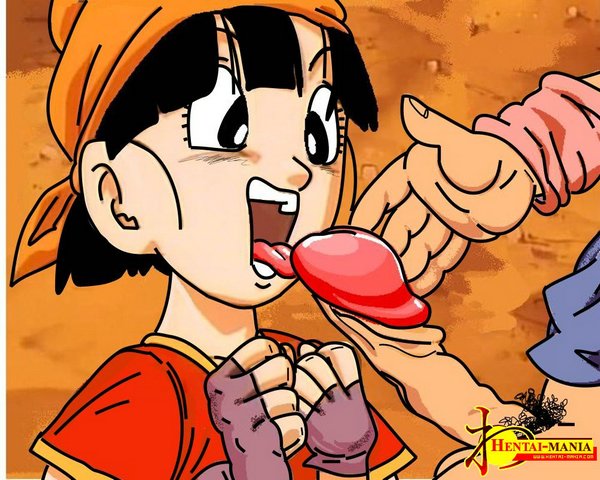 DBZ/GT Pan Pics page 6 full