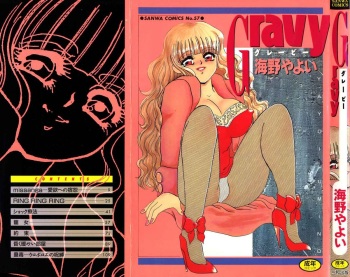 Gravy cover