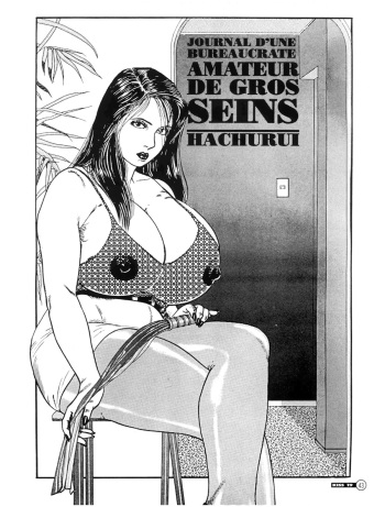 -journal d une bureaucrate amateur de gros seins cover