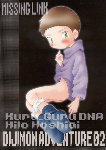 MISSING LINK cover