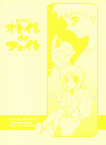 Fake3 Otoire de Fate cover
