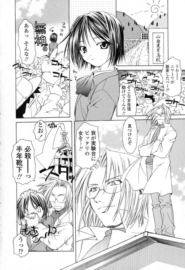 Ikeike!! Nekoro Maid page 7 full