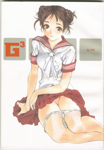 G-cube cover