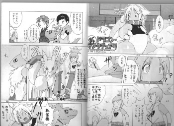 Digimon Dragon Sanctuary cover