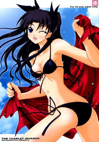 THE SCARLET INVADER. cover