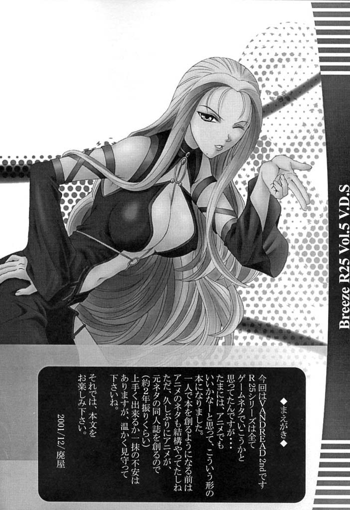 R25 Vol.5 V.D.S page 3 full