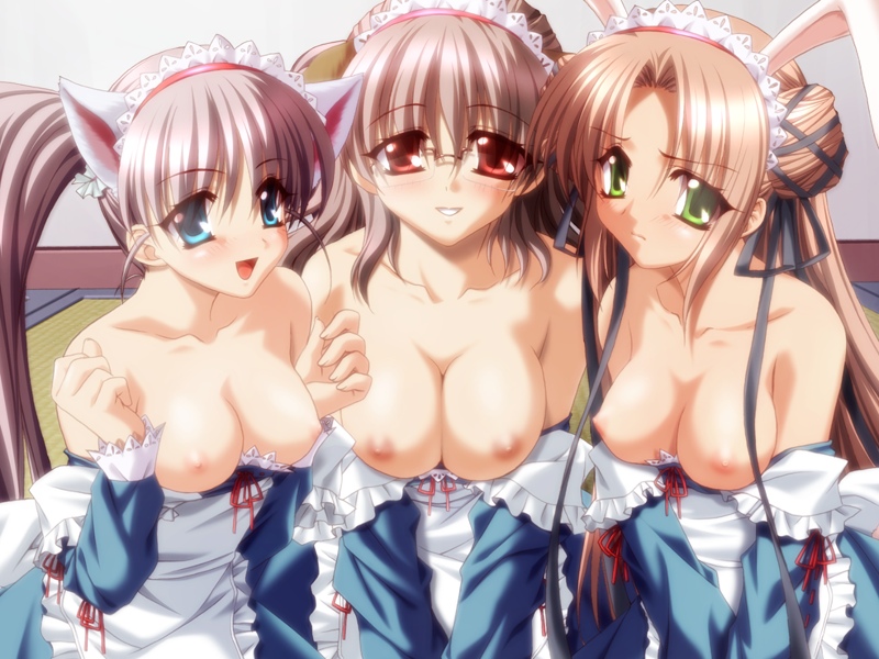 Araiguma - Artwork Collection page 9 full