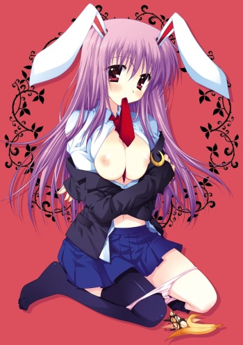 Araiguma - Artwork Collection cover