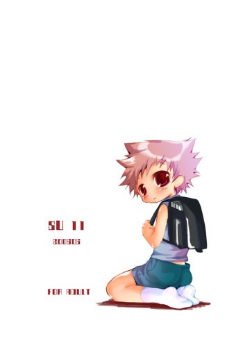 SU11 cover