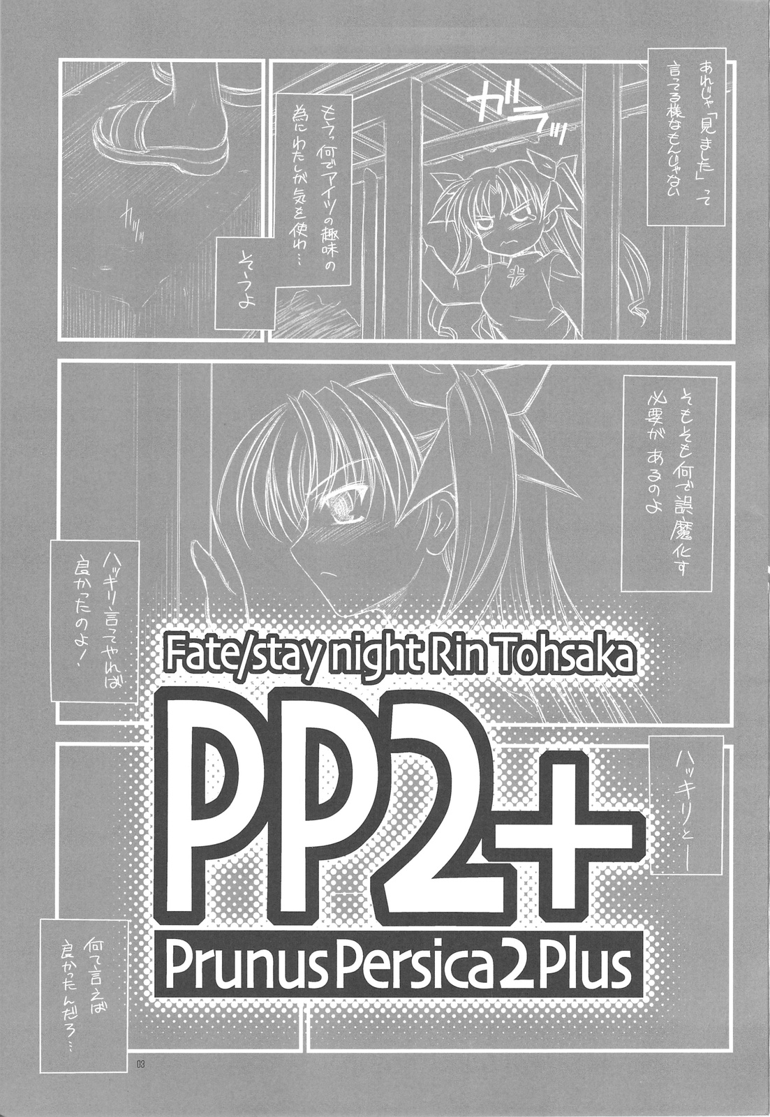 PP2+ page 2 full